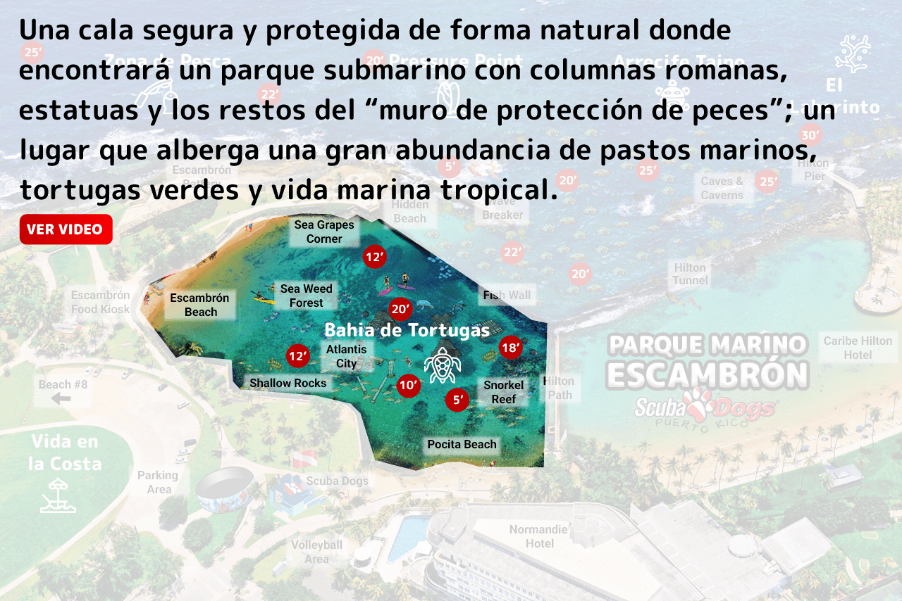 Escambron-Map-full-turtlebay-esp