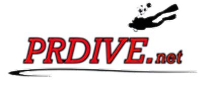 PRDIVE_net