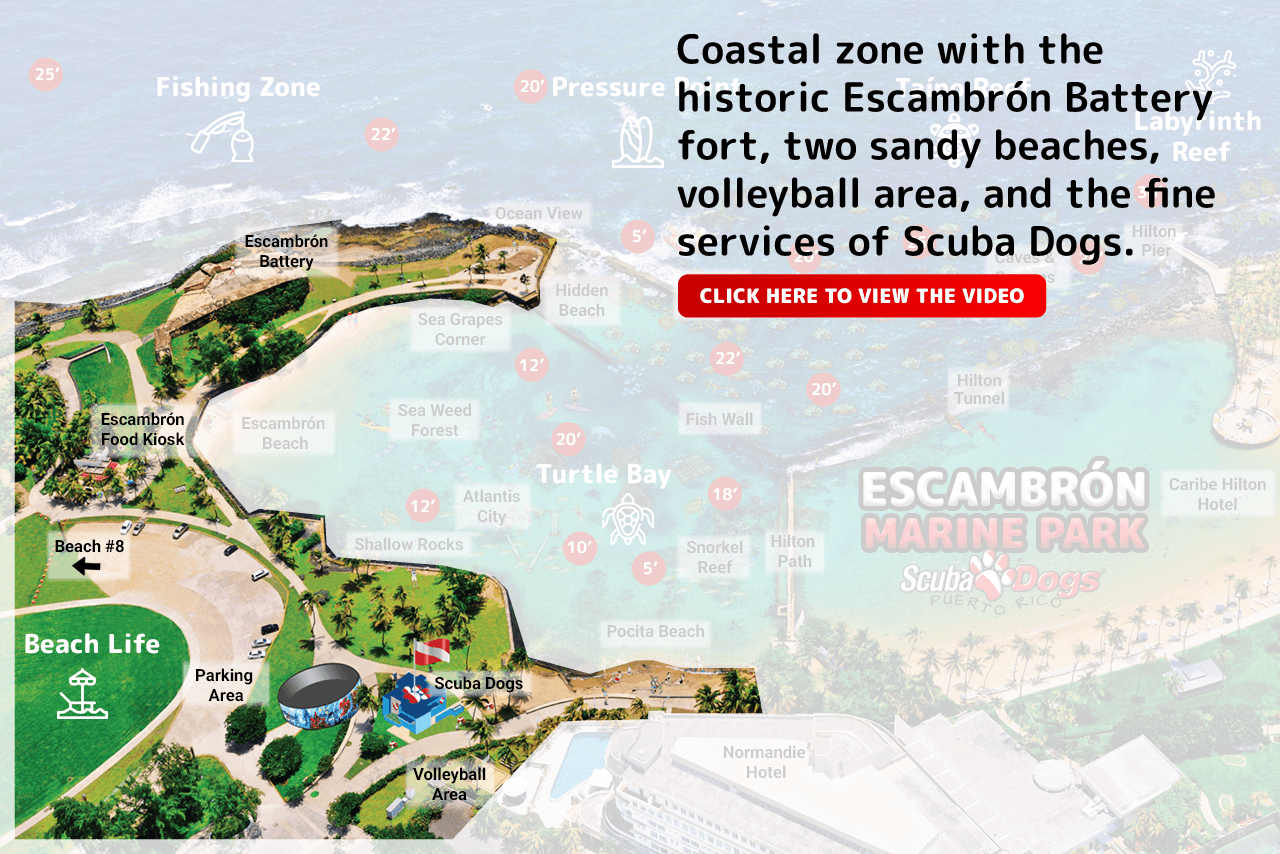 beach-life-eng