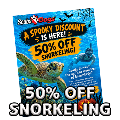 droplets_spooky_50 droplets_spooky_50