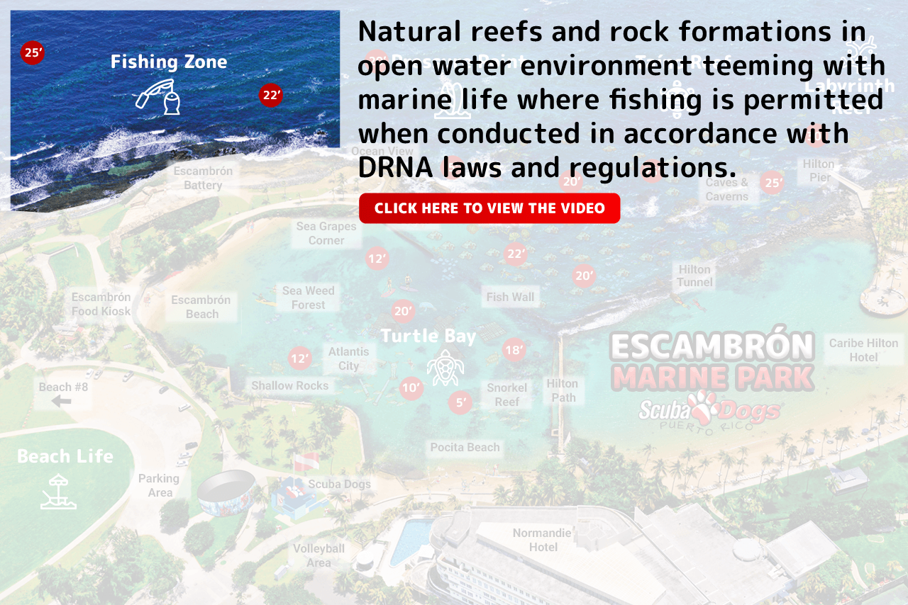 fishingzone-eng