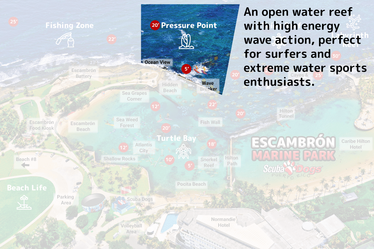 map-pressurepoint