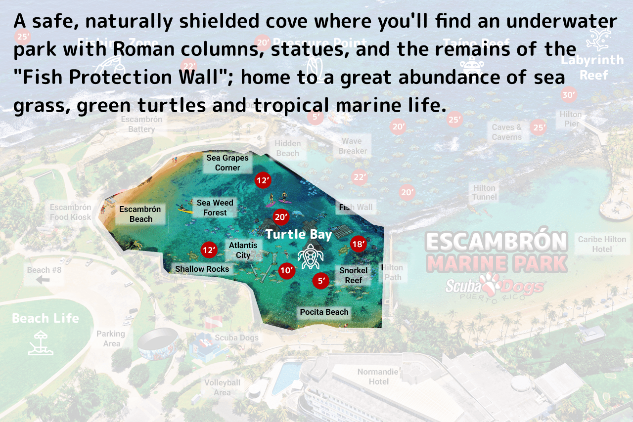 map-turtlebay