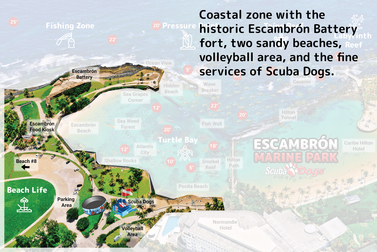 map+beachlife