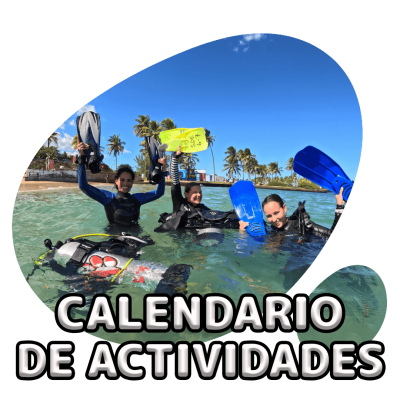scubadogs-actividades+titulo