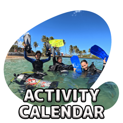 scubadogs-activity+title scubadogs-activity+title