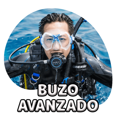 scubadogs-avanzado+titulo