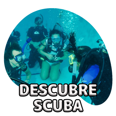 scubadogs-descubre+titulo