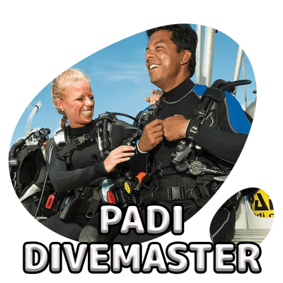 scubadogs-divemaster+title scubadogs-divemaster+title