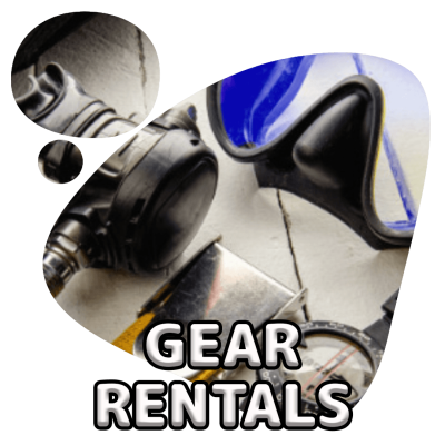 scubadogs-gear+title scubadogs-gear+title