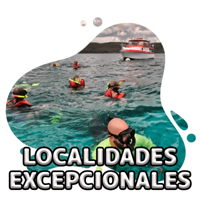 scubadogs-localidades+titulo