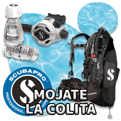 scubadogs-mojate+titulo