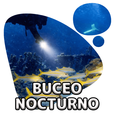 scubadogs-nocturno+titulo