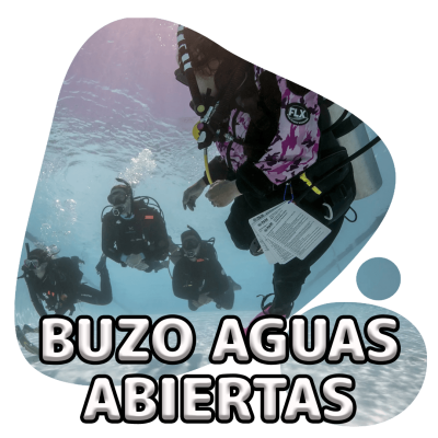 scubadogs-open+titulo