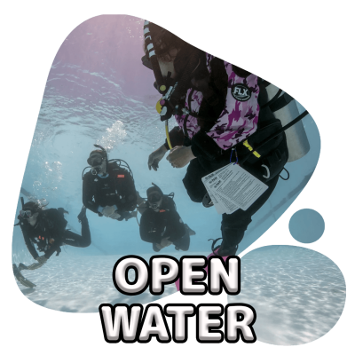 scubadogs-openwater+title scubadogs-openwater+title