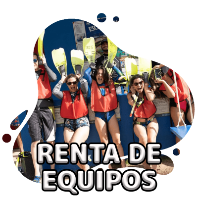 scubadogs-renta+titulo-nu