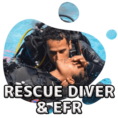 scubadogs-rescue+title scubadogs-rescue+title
