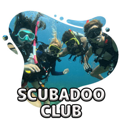 scubadogs-scubadoo+title-nu scubadogs-scubadoo+title-nu