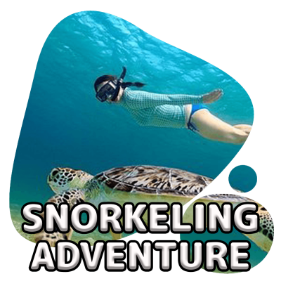 scubadogs-snorkelingadv+title scubadogs-snorkelingadv+title