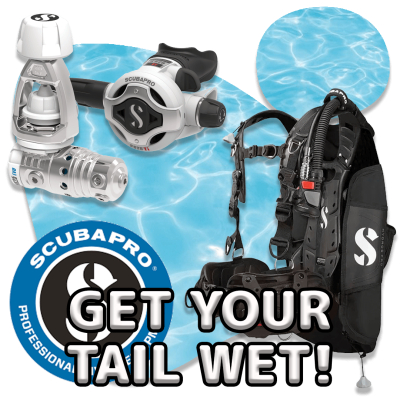 scubadogs-tailwet+title scubadogs-tailwet+title