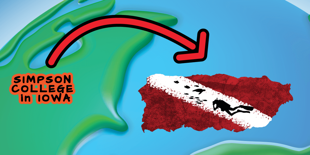 simpson-scubadogs-blog