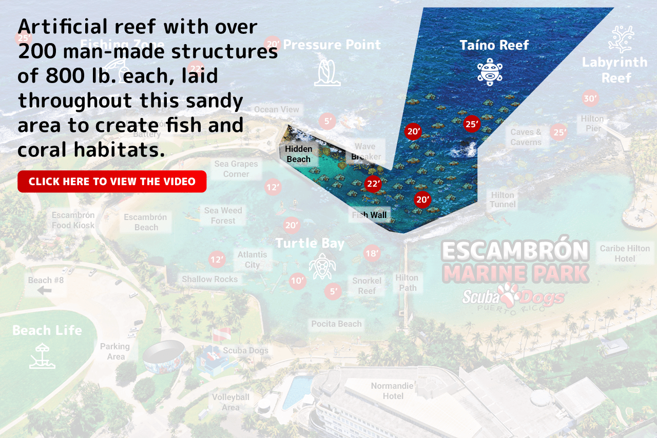 taino-reef-eng