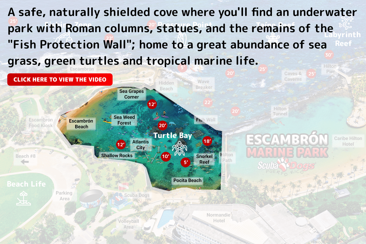 turtle-bay-eng